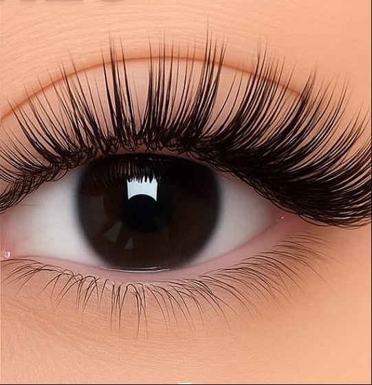 Pestañas Magnéticas reutilizables