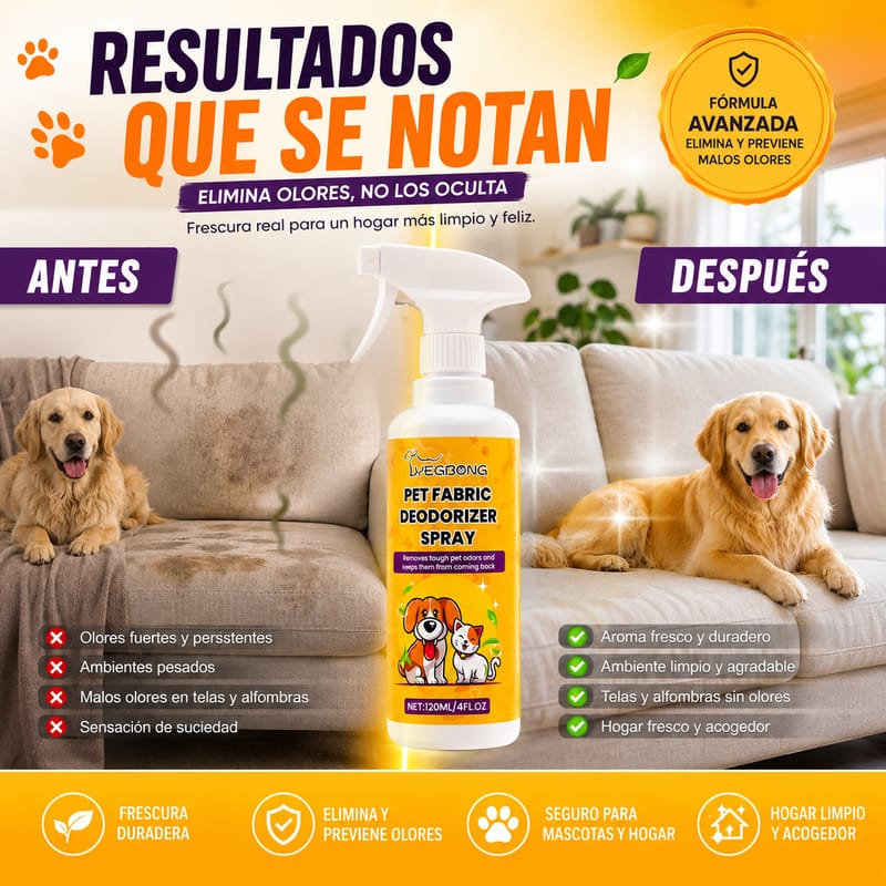 Antes y después: resultados del spray eliminando olores de mascota en el sofá