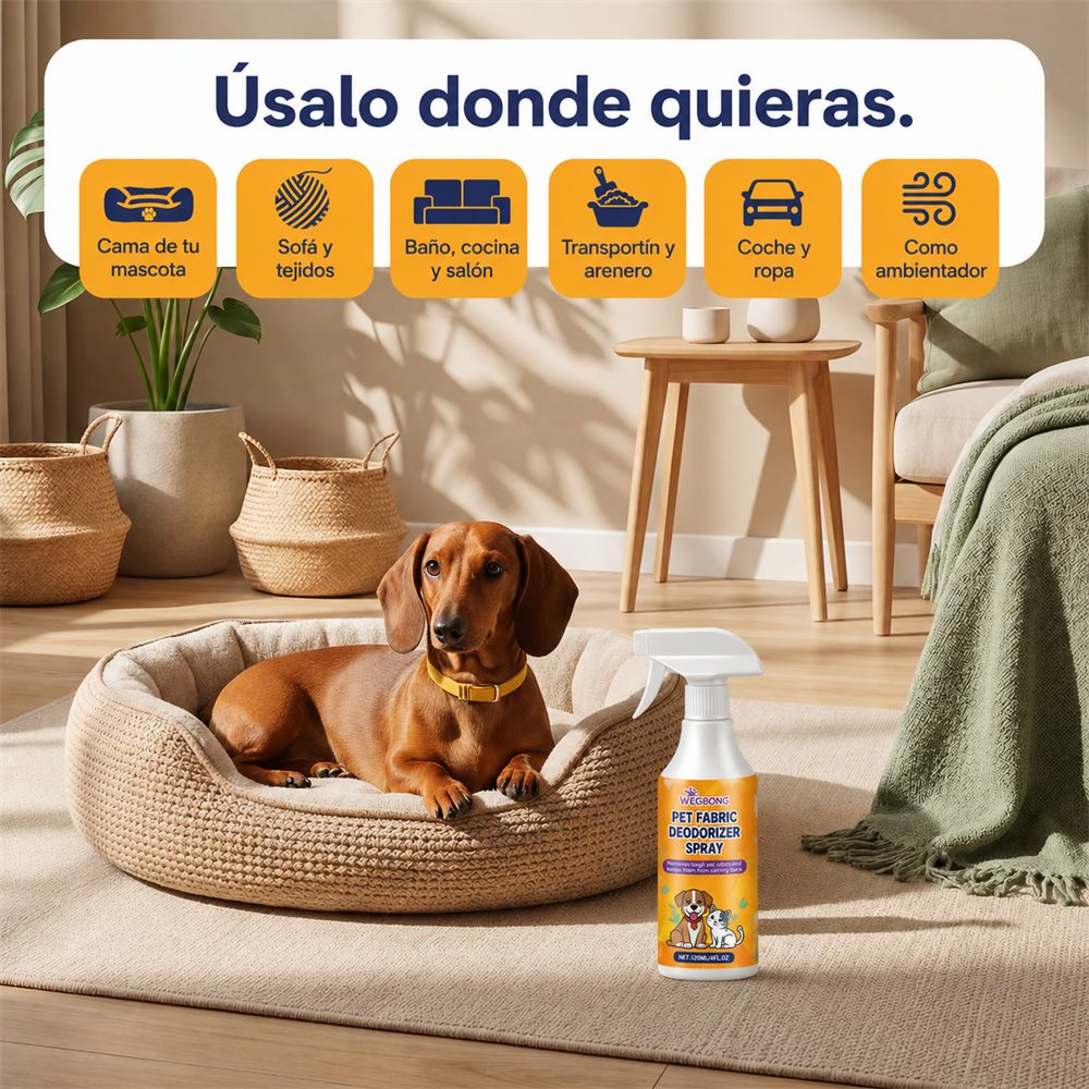 Perro sobre su cama junto al spray, ideal para usar en cualquier lugar